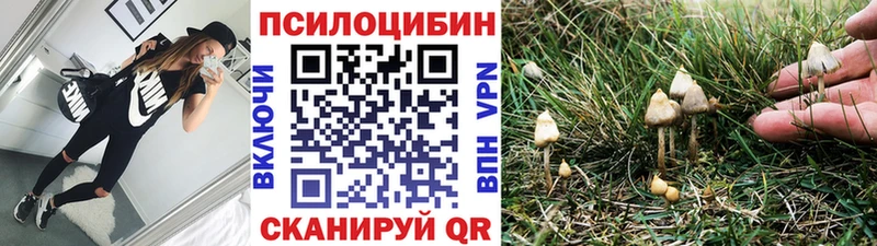 цена   Дубна  Галлюциногенные грибы Magic Shrooms 