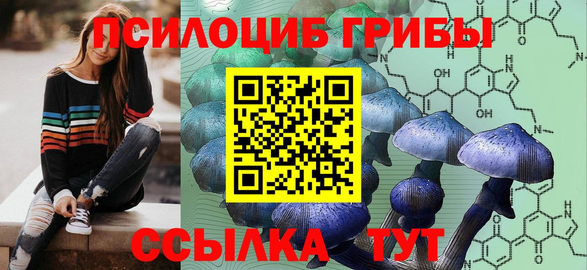Псилоцибиновые грибы Magic Shrooms  Вход с VPN  Галлюциногенные грибы Magic Shrooms  Дубна 