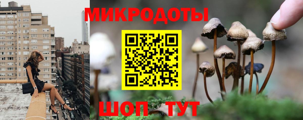 Галлюциногенные грибы прущие грибы Дубна